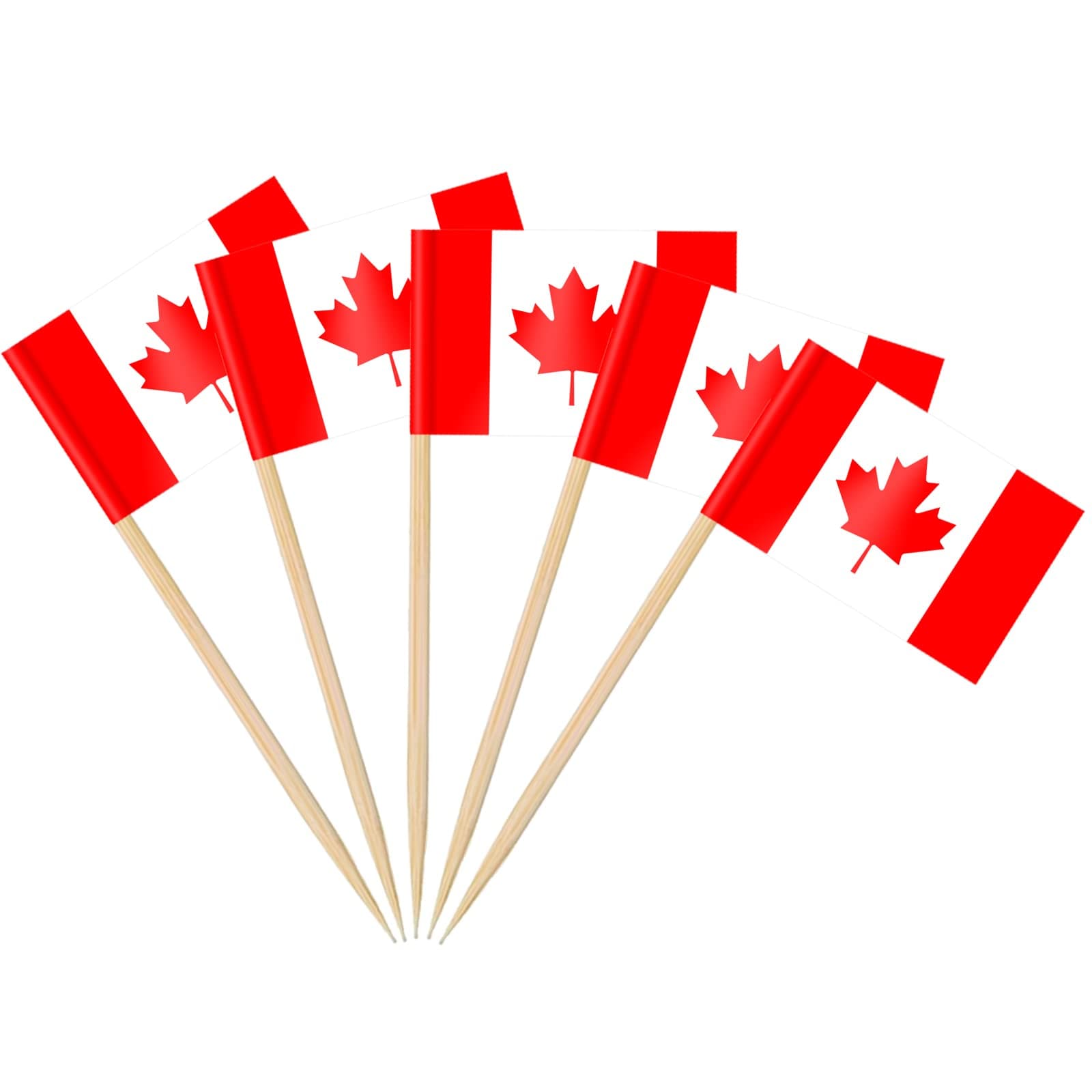 AhfuLife Canada Flag Toothpick Flags Picks, 100 Pcs Small Tiny Canada Cupcake Toppers Stick Flags Double-sided for World Cup, National Day, Birthday Party Decorations, Cake Flags