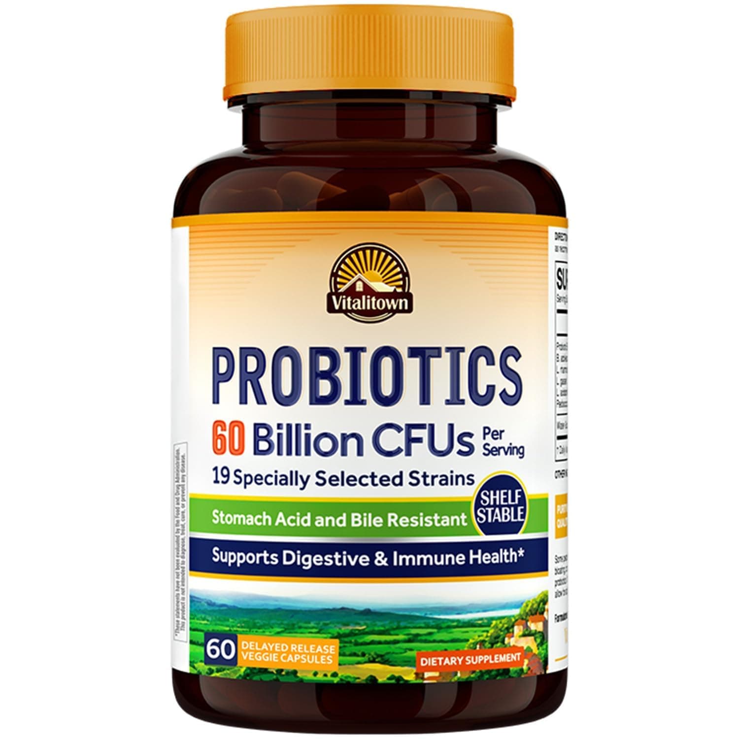 Probiotics + Prebiotics | 60 Billion CFUs 19 Strains | 60 Delayed Release Veg Caps | Shelf Stable, Stomach Acid & Bile Resistant | Digestive & Immune Support | Vegan, Non-GMO, Dairy Free