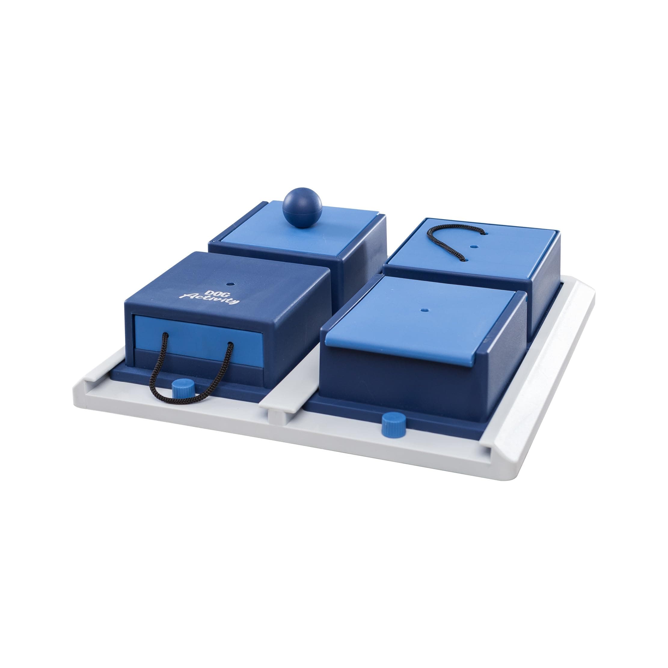 Mad Scientist For Dogs