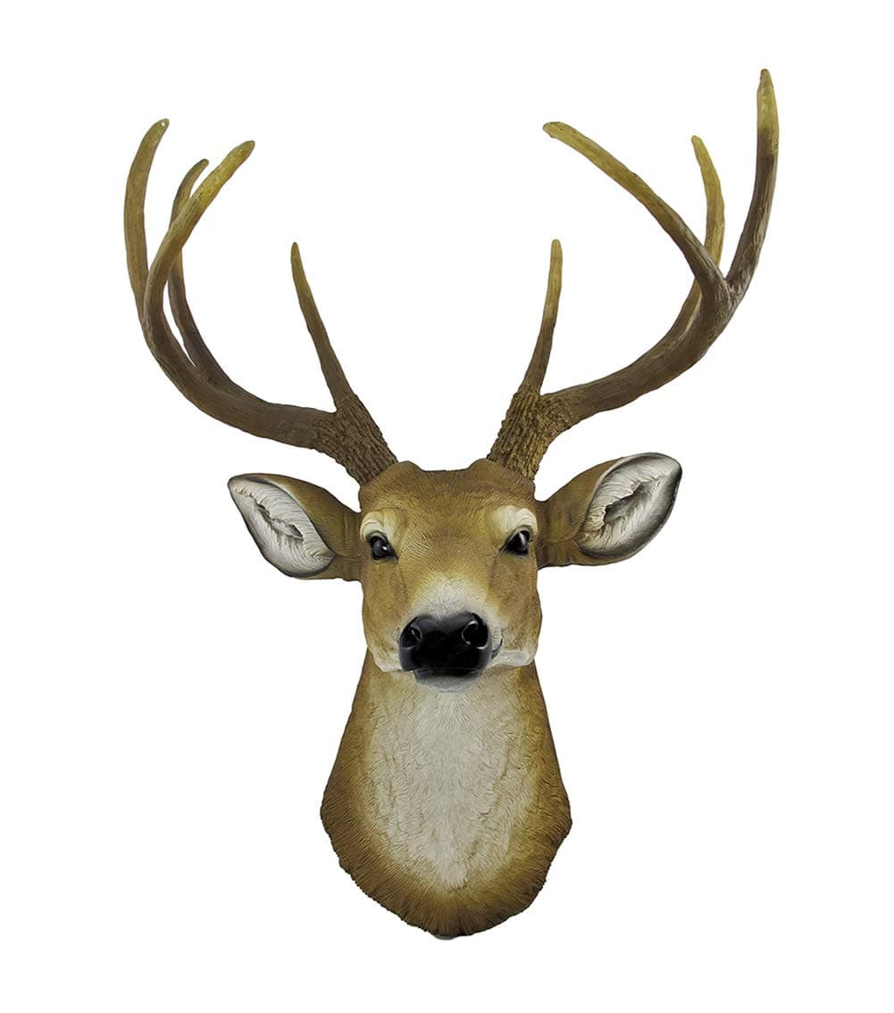 DWK 8 Point Buck Deer Head Bust Wall Hanging