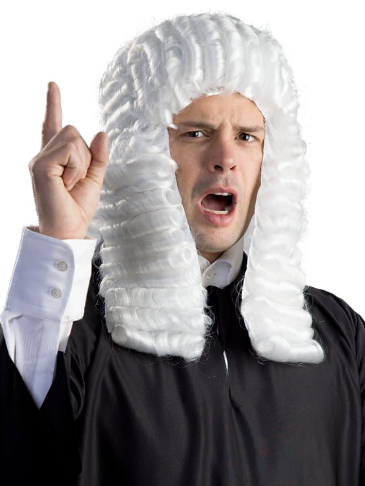 Enigma WigsMen's Judge Wig