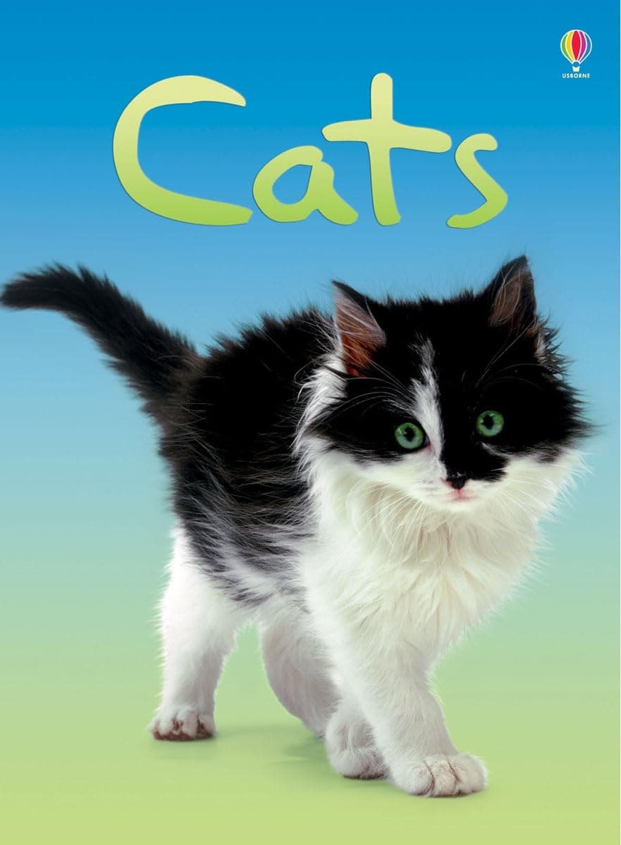 Cats (Usborne Beginners) Hardcover – 30 March 2007