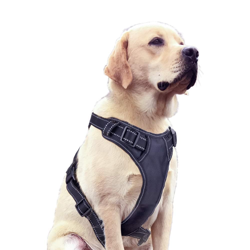 Ditto No-Pull Dog Harness, Adjustable Pet Harness Reflective Oxford Soft Vest with Metal Ring and Comfortable Handle for Small Medium Large Dogs Easy Control –S