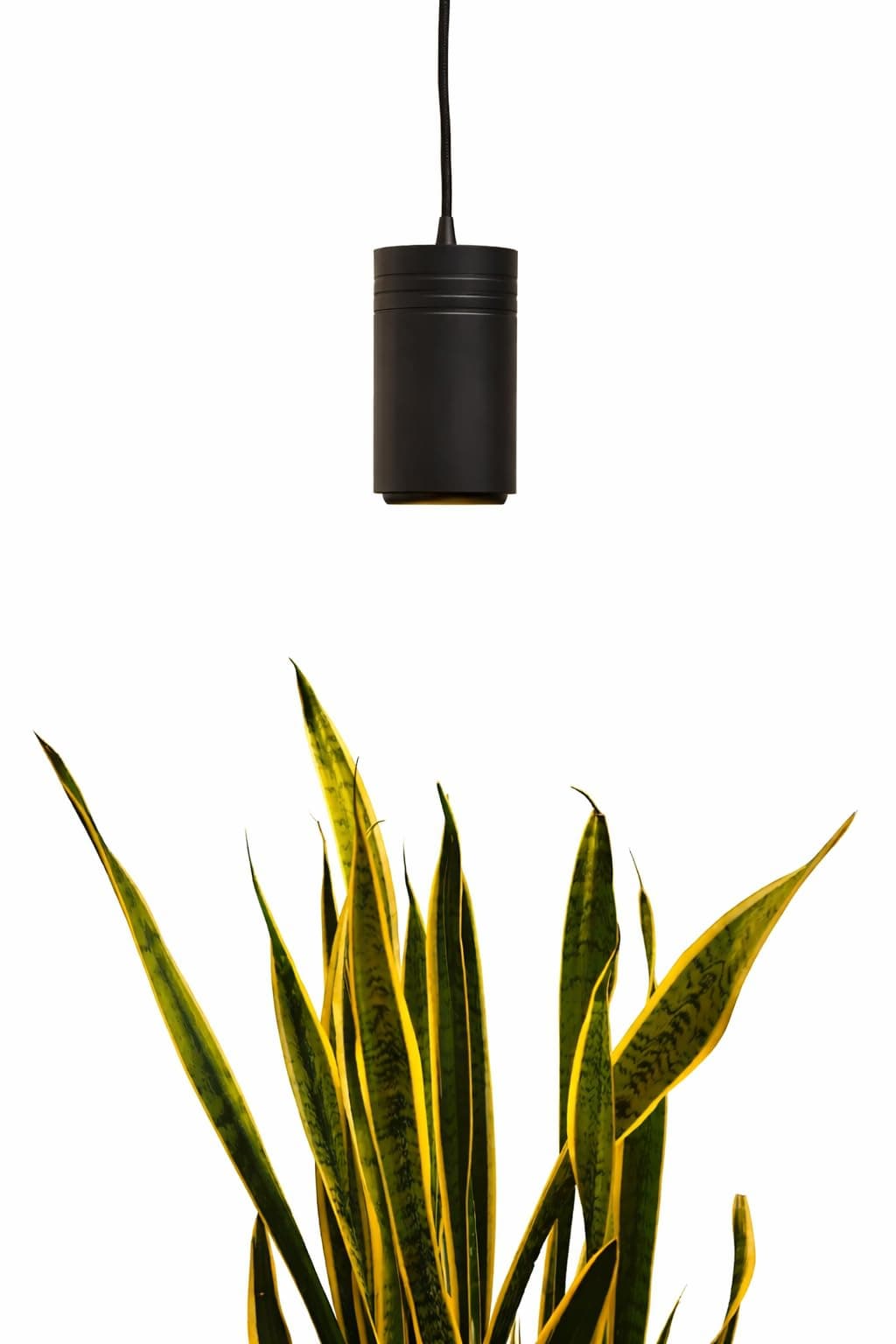 Aspect Soltech Gen 2 – World’s First Decor Grow Light | Black High-Output LED Pendant Grow Light for Indoor Plants | Warm White, Natural Light | Dimmable