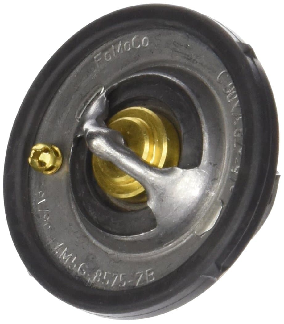 Thermostat Asy (P) (RT1211)