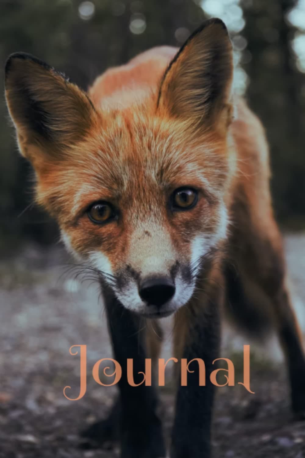 Journal - Daily Journal - Bullet Journal - Diary - Fox - Animals