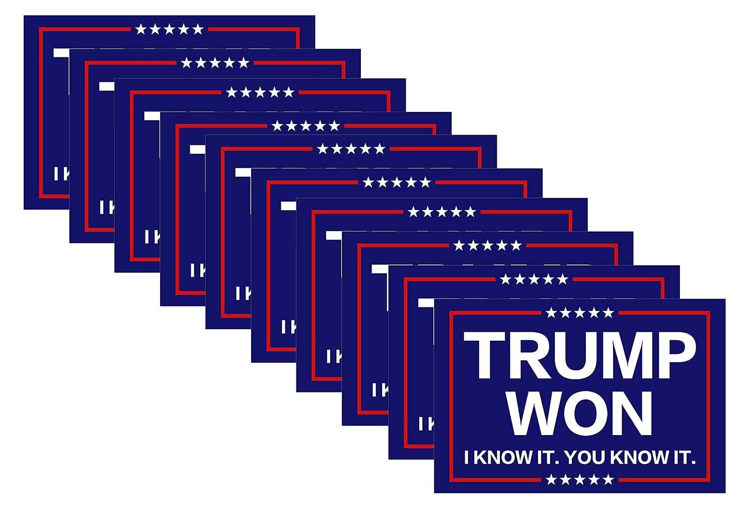 10 Pack Donald Trump Won I Know It You Know It 2024 Take America Back Stickers Car Bumper Laptop Window Vinyl Waterproof Decal Stickers
