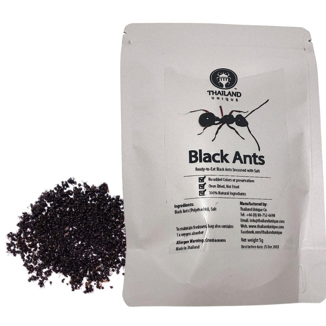 Black Ants