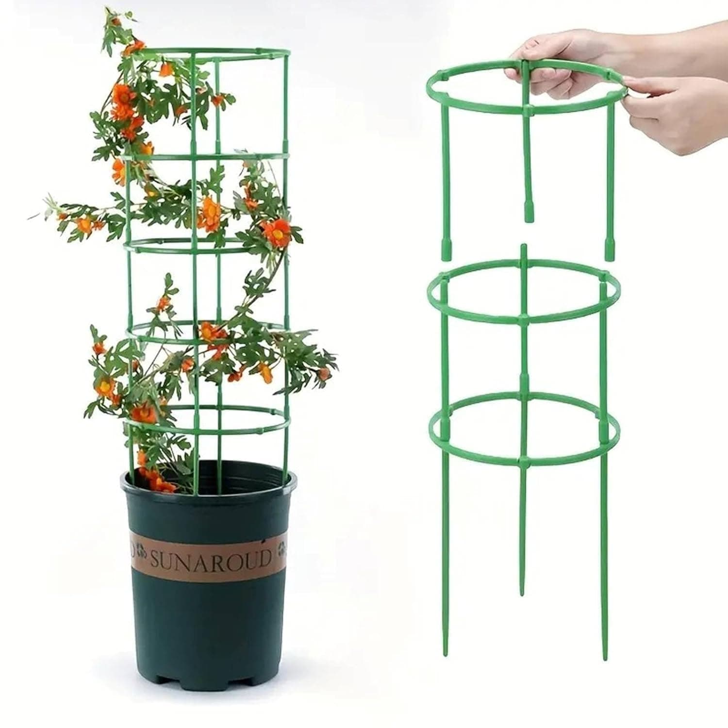 Kunya Plant Support - 3 Layer Stakes & Ring Plastic Plant Cage Holder for Flower Pots, Climbing & Vegetable Trellis (Pack of 1)