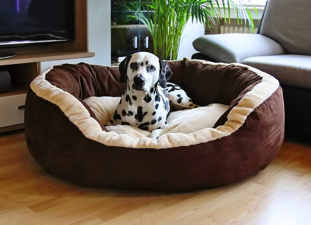 Hiputee Luxurious and Durable Polyester Filled Soft Dual Colour Dog/Cat Bed (Small, Brown) 65x65x20 cms