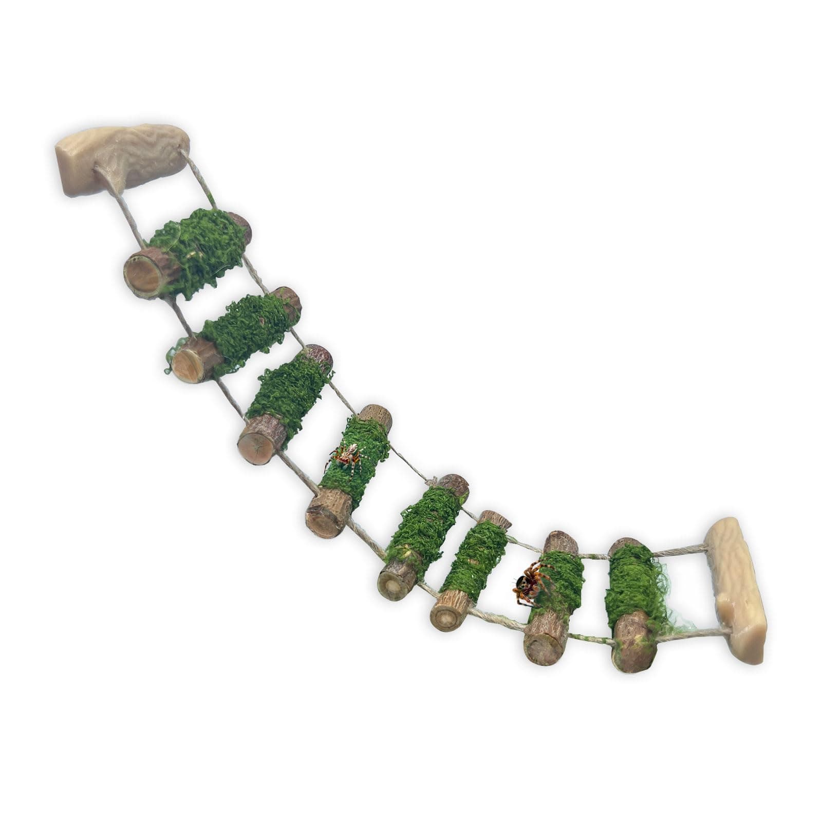 Jumping Spider Rope Bridge,A Solid Wood Climbing Suspension Bridge, a Jumping Spider Enclosure Accessory, Handmade, a Spider Jump Platform, Used As a Decorative Accessory for Small Reptile Enclosures