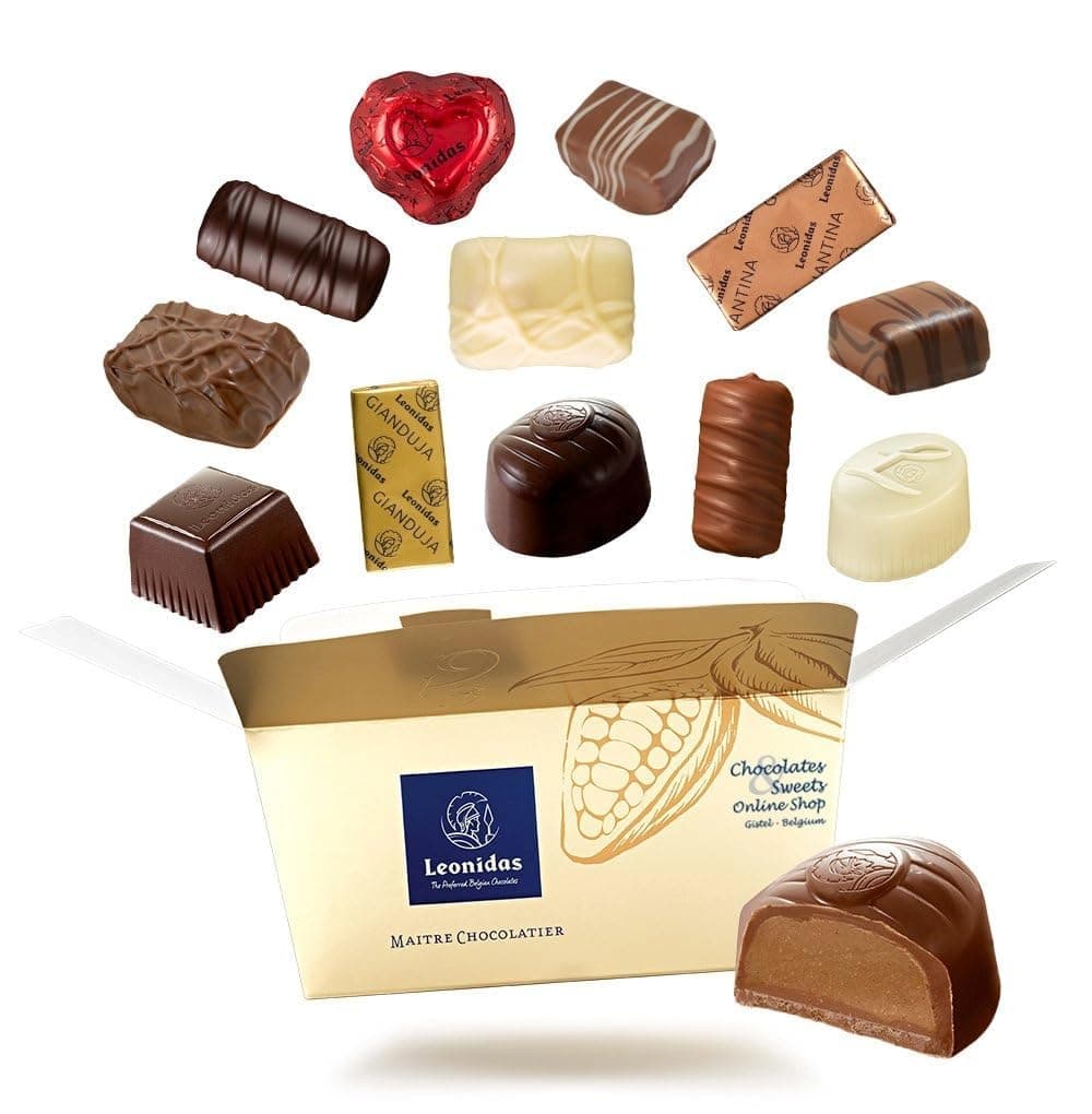 Praline Chocolate Gift Box – Fresh Assorted Belgian Chocolates (500g, Approx. 28 Pieces) – Milk, Dark & White – Luxury Ballotin – No Palm Oil – Premium Gift