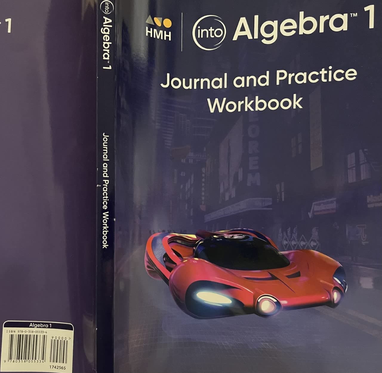 Journal and Practice Workbook (Into Algebra 1)