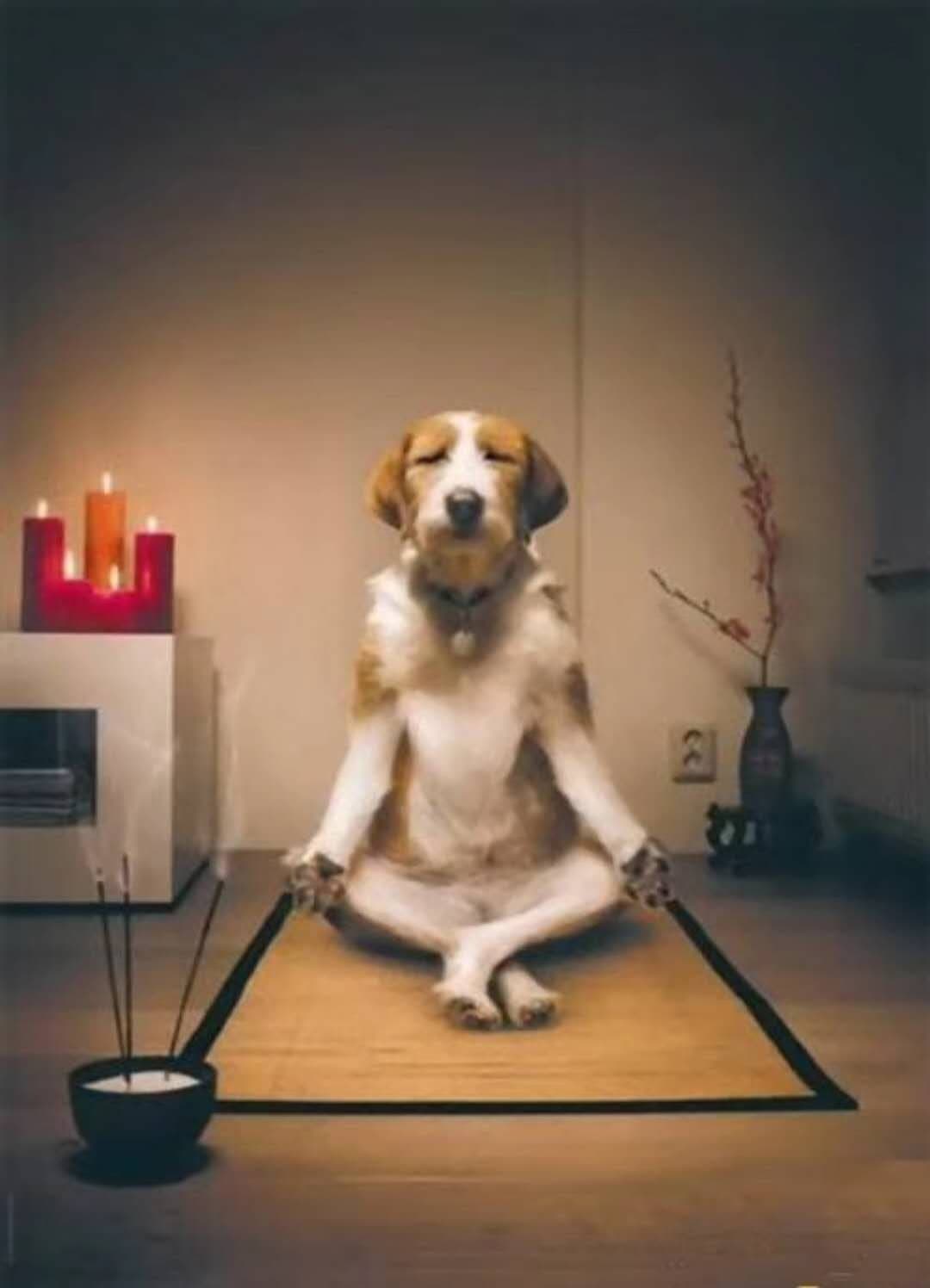 Alarm Clock,YoyoKit USB Powered 8.9" Large Display Digital Alarm Clocks with Dimmer,Snooze,Alarm Sound Control Function for Poor Eyesight