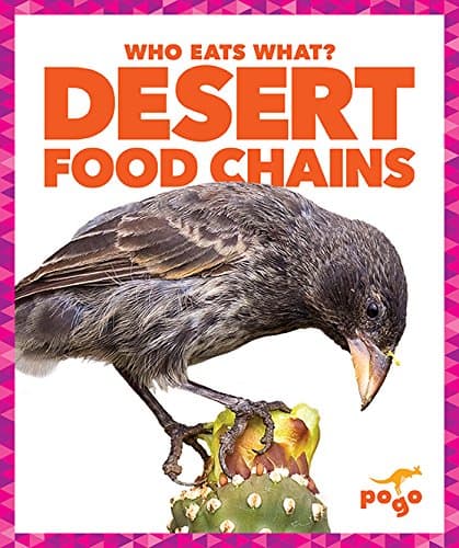 Desert Food Chains (Pogo STEM: Who Eats What?)