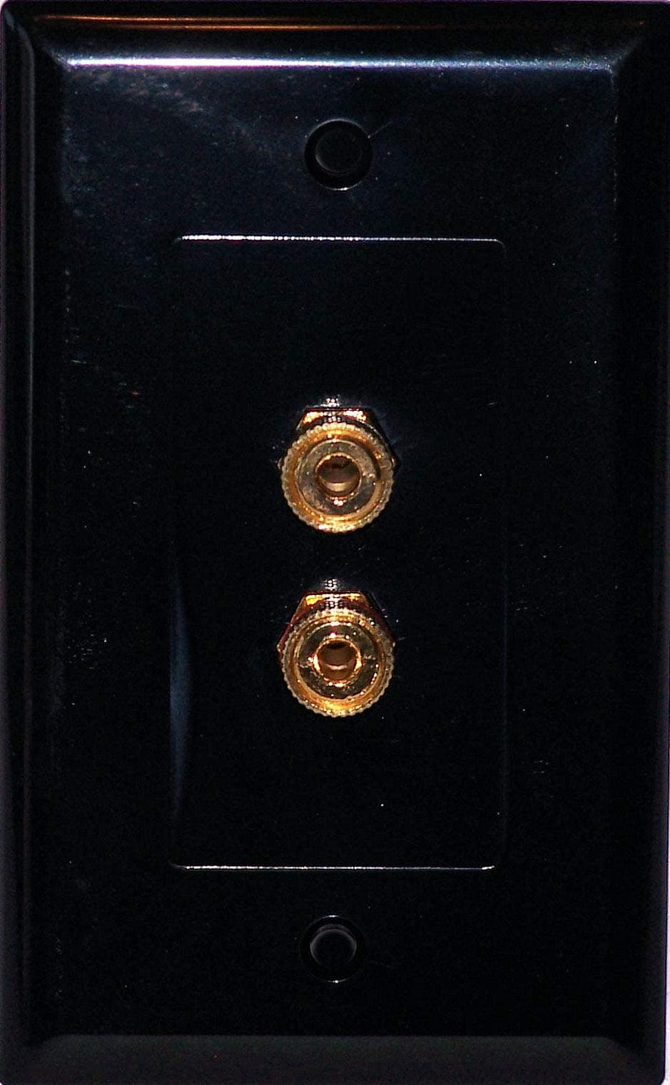 Black Speaker Wall Plate 2 Post for 1 Speaker - Media Room Series