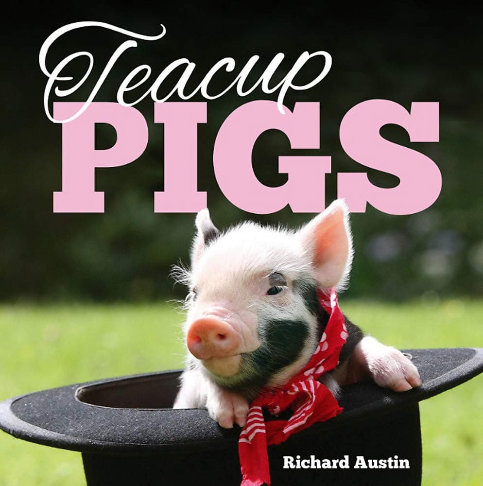 Teacup Pigs Hardcover – 3 Mar. 2014