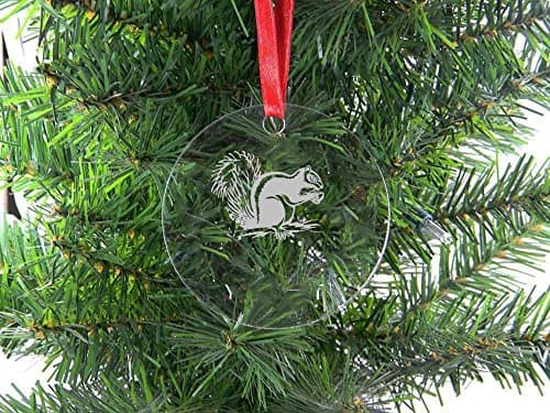 Personalized Custom Squirrel Clear Acrylic Hanging Christmas Tree Ornament with Red Ribbon