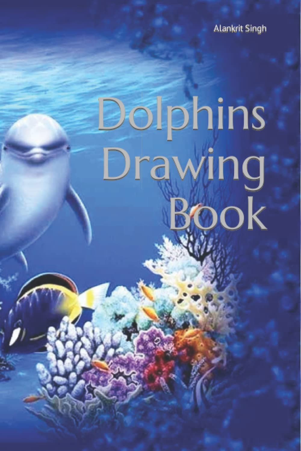 Dolphin drawing book