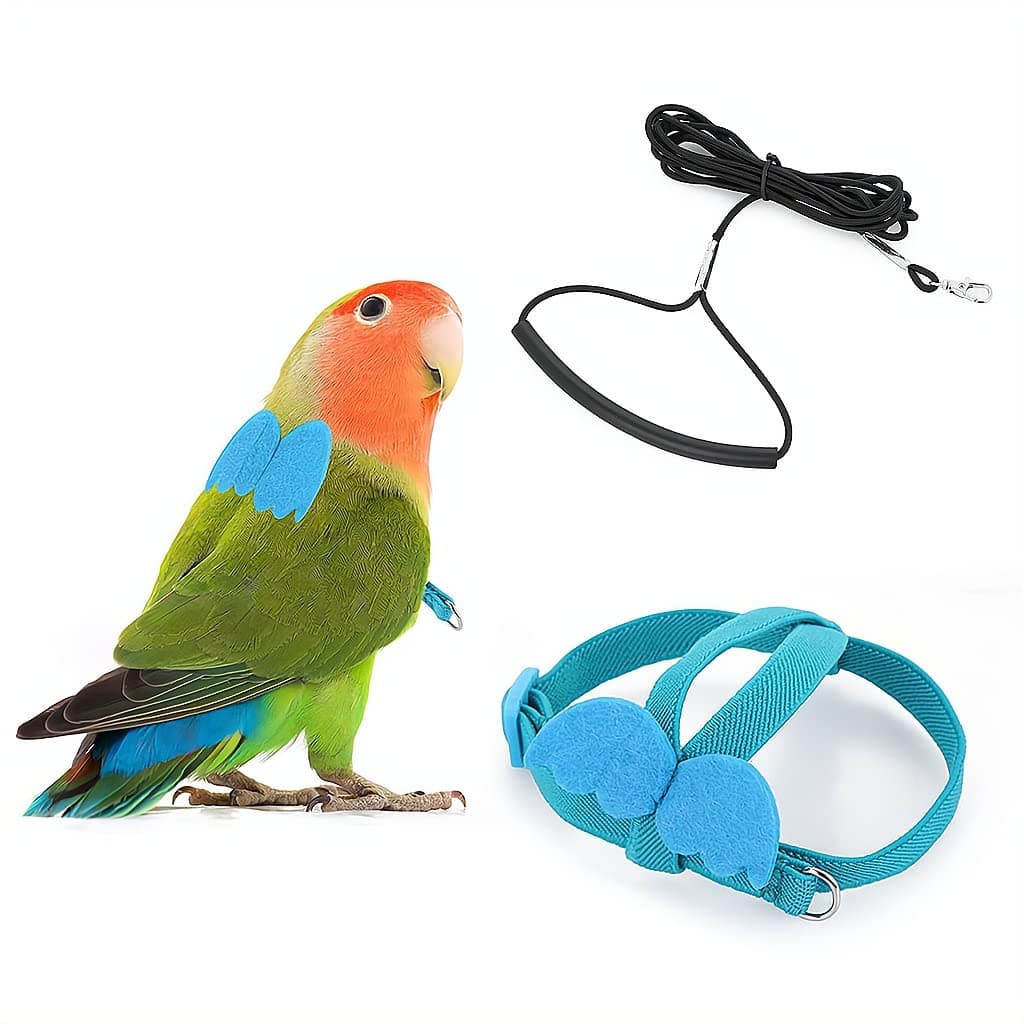 ELECDON Bird Training Leash, Adjustable Parrot Flying Strap Rope Universal Flying Traction Lead Durable Outing Gadget Outdoor Training Toy for Birds, Parrot, Cockatiel, Parakeet, Lory, 1 Pcs (Blue)