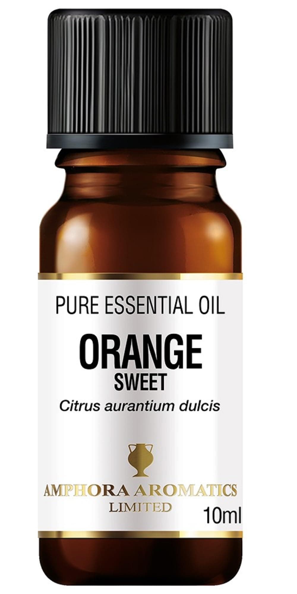 Amphora Aromatics Orange Essential Oil 10ml
