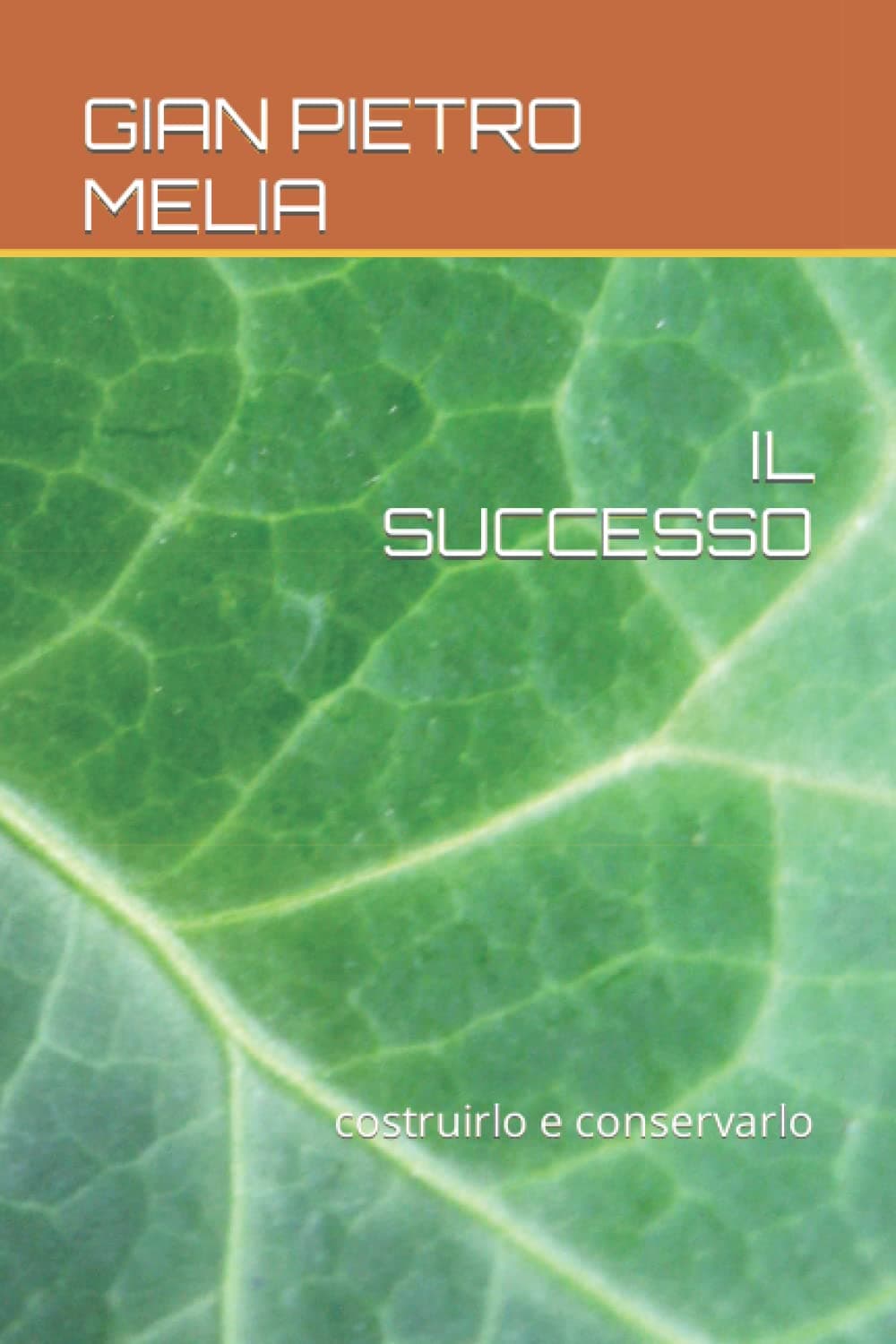 IL SUCCESSO: costruirlo e conservarlo