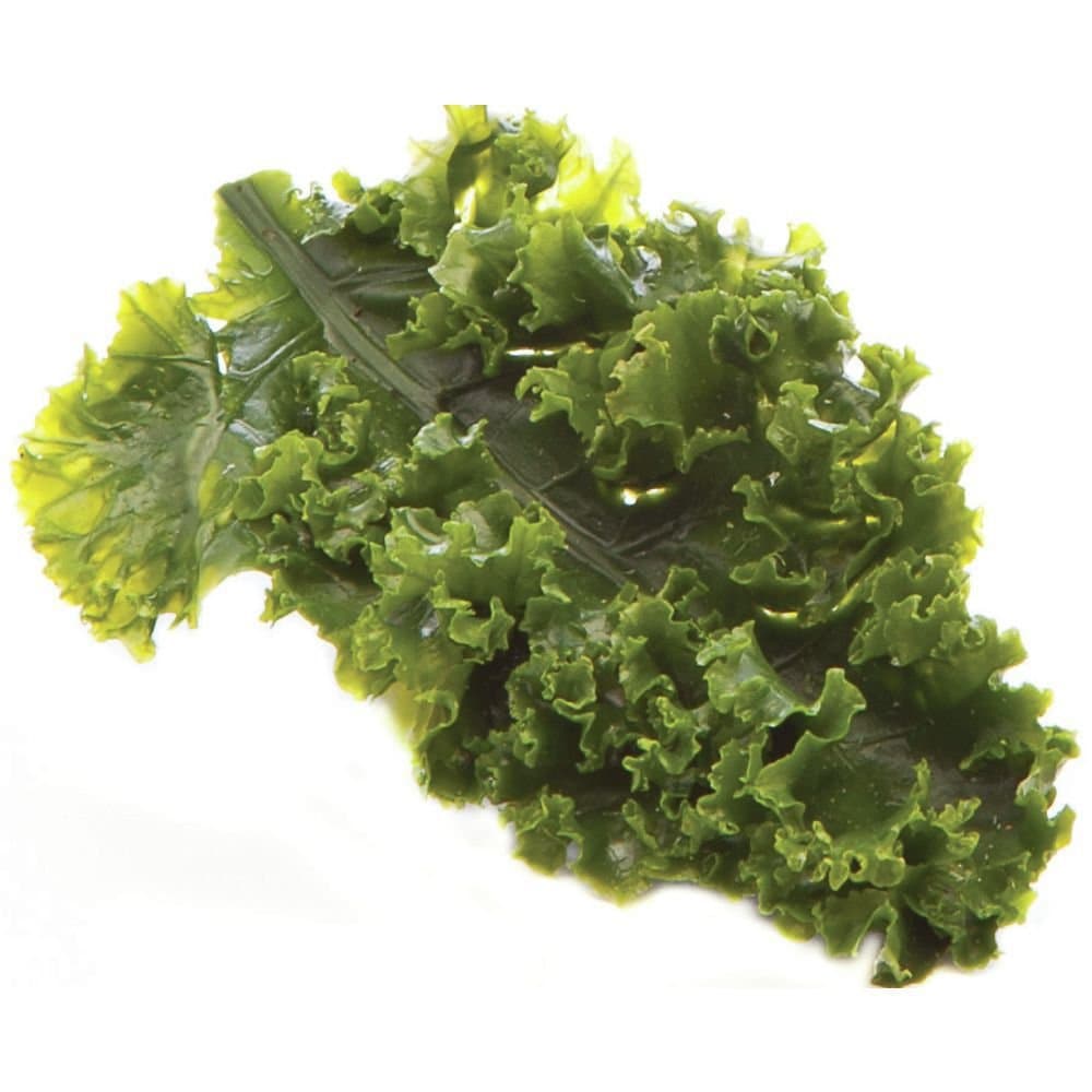 Artificial Kale Leaf Garnishing Green - 6" L