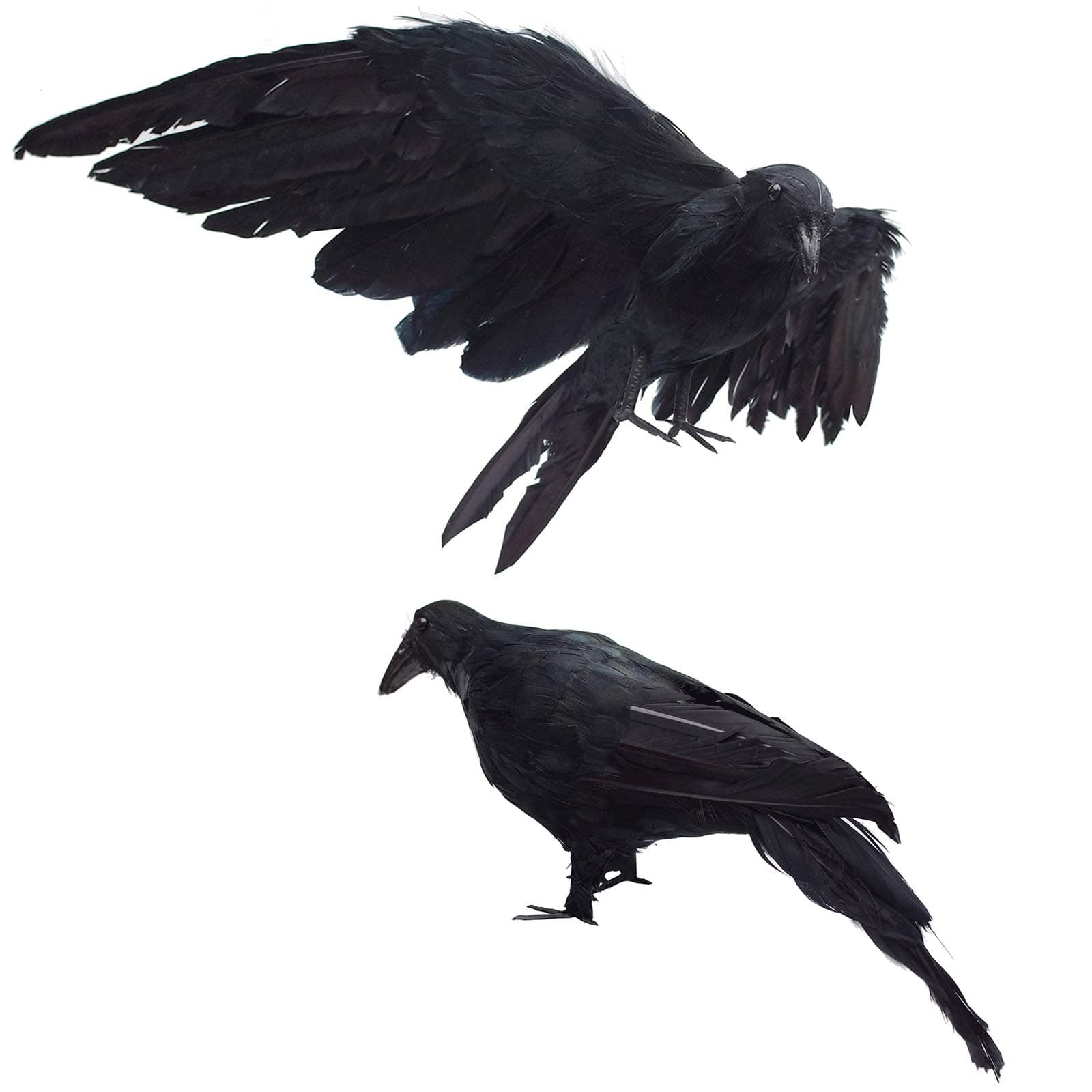 Etistta 2-Pack Realistic Crows Lifesize Extra Large Handmade Black Feathered Crow for Halloween Decorations Birds, L (13 inch+12 inch)
