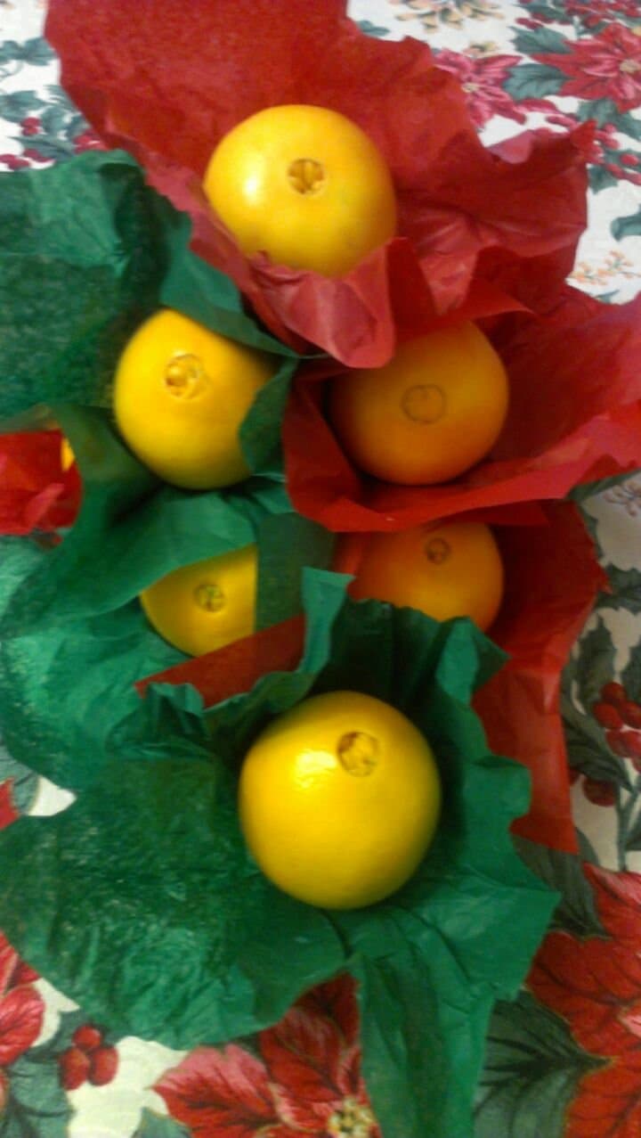 HME LLH-O Large License Holder