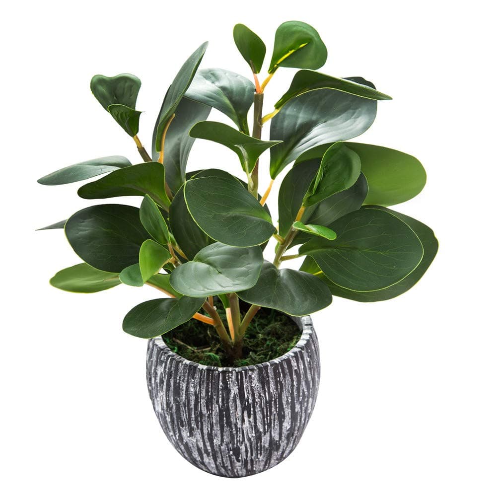 Mini Potted Artificial Plants Real Looking Plastic Fiddle Leaf Fig Plant with Rustic Black Cement Planter for House Office Desk Decor
