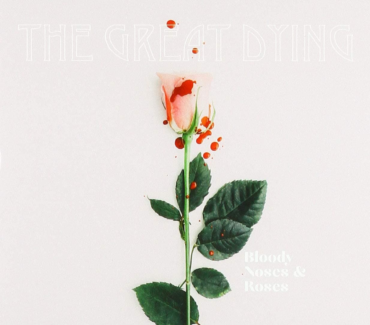 Bloody Noses & Roses