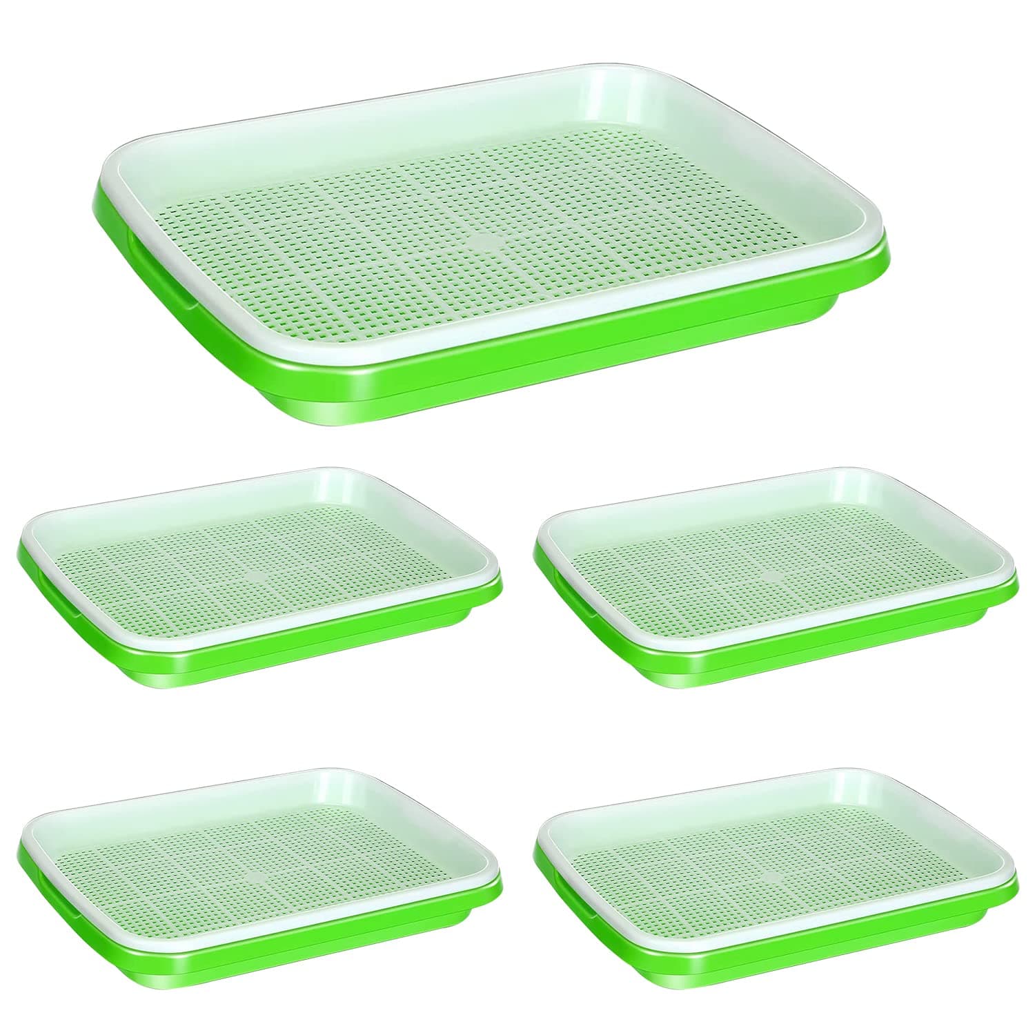 Singwow 5 Pack Seed Sprouter Tray, 32cm x 26cm Large Capacity Sprouting Tray BPA Free Germination Tray, Healthy Hydroponic Propagator for Growing Mung Beans, Alfalfa, Wheat Grass