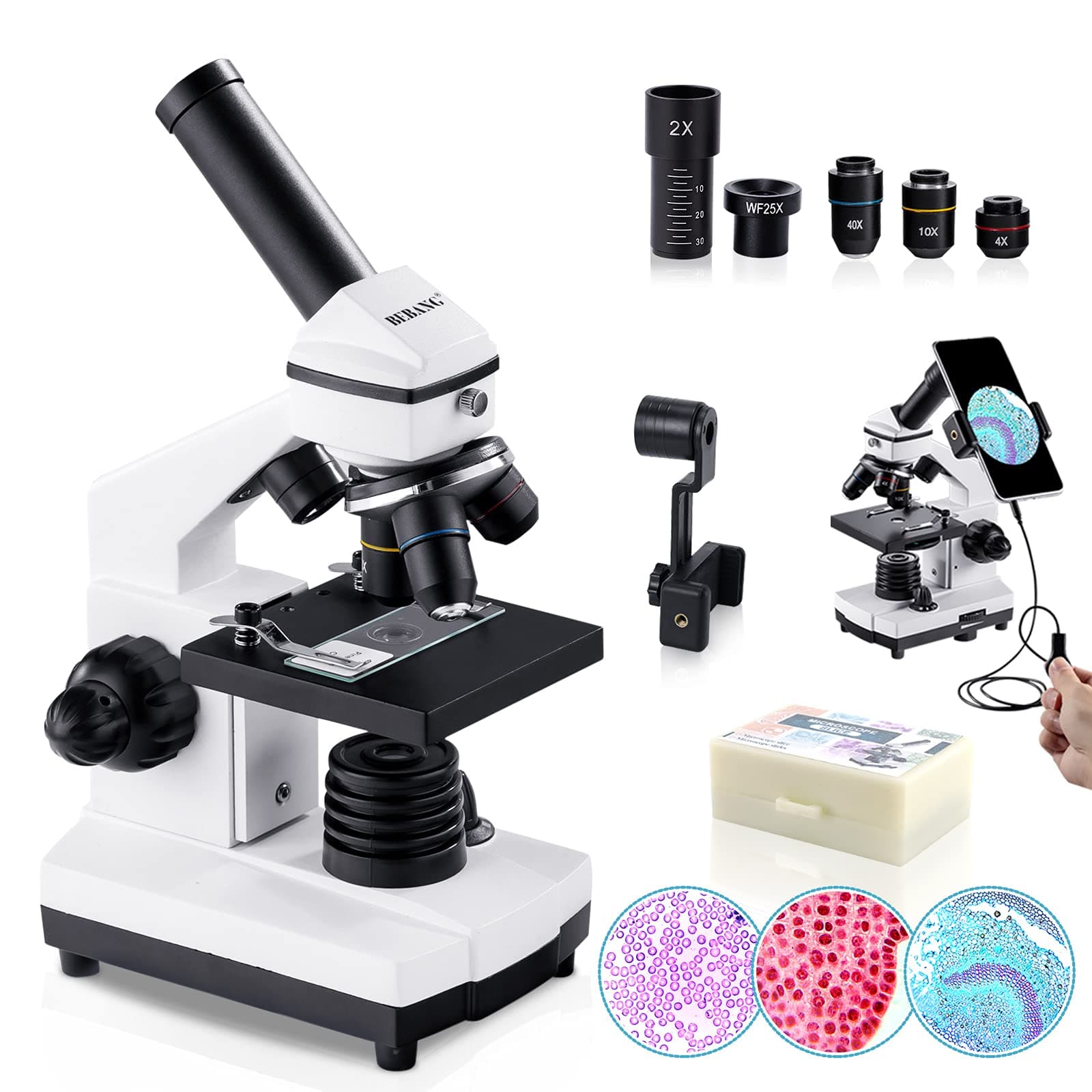 100X-2000X Microscope for Kids Adults, Professional Biological Microscope Kit for Students School Laboratory