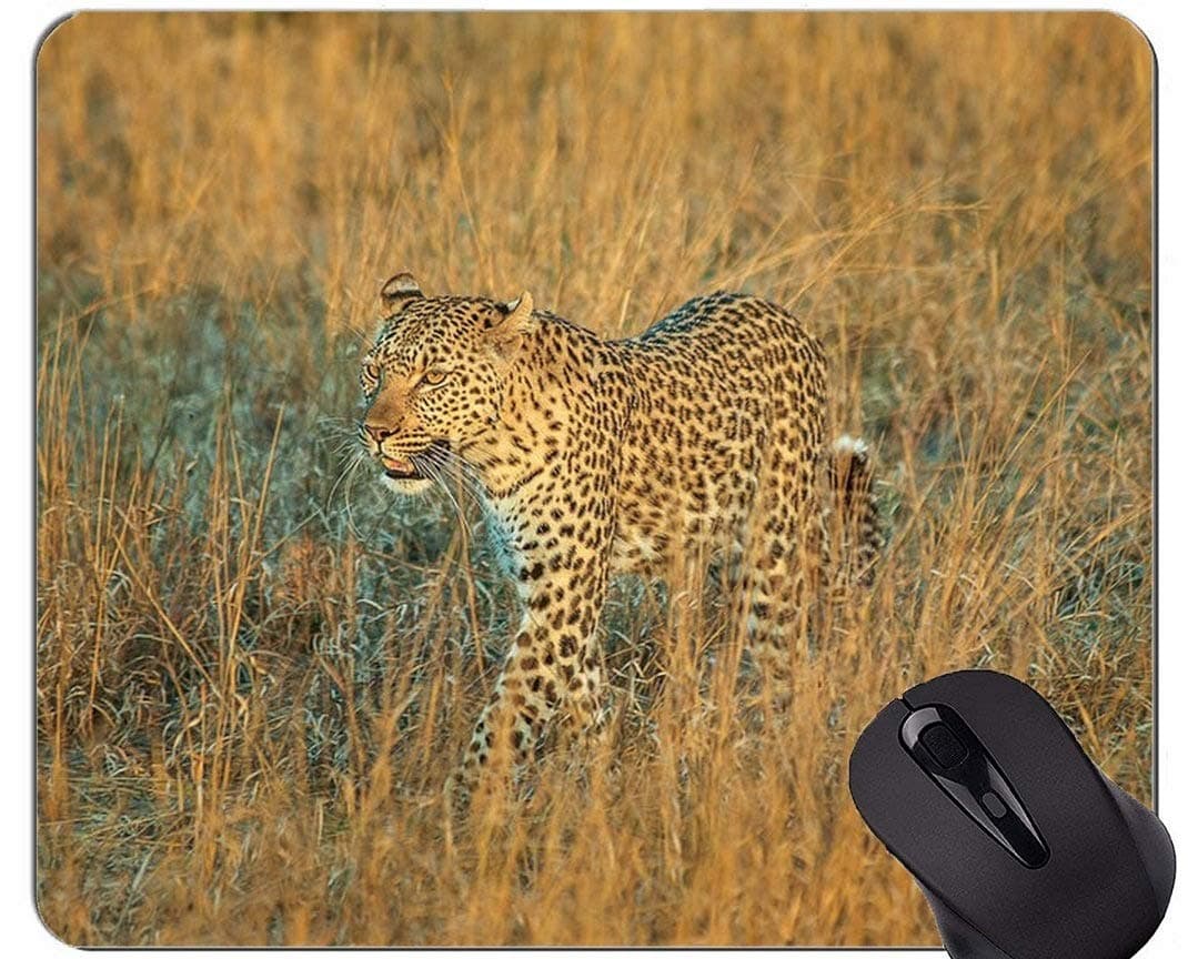 Gaming Mouse Pad,Leopard Cat Family Leopard Mouse Pads