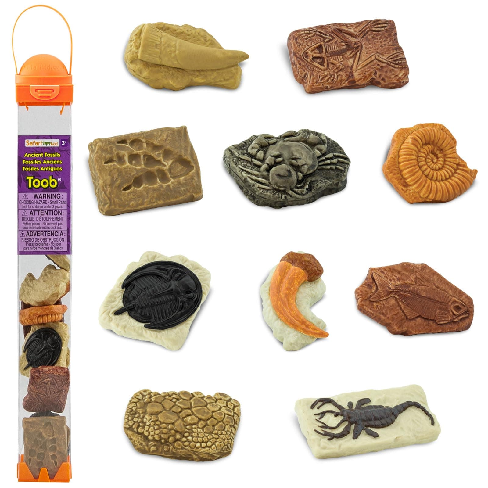 684804 Ancient Fossils