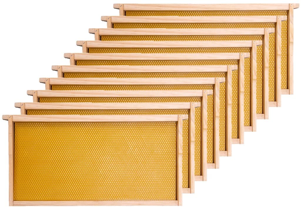 Deep Beehive Frames and Foundations Kit, 10 Pack Brood Wooden Frames and Natural Beeswax Dipped Plastic Foundation for Beekeeping