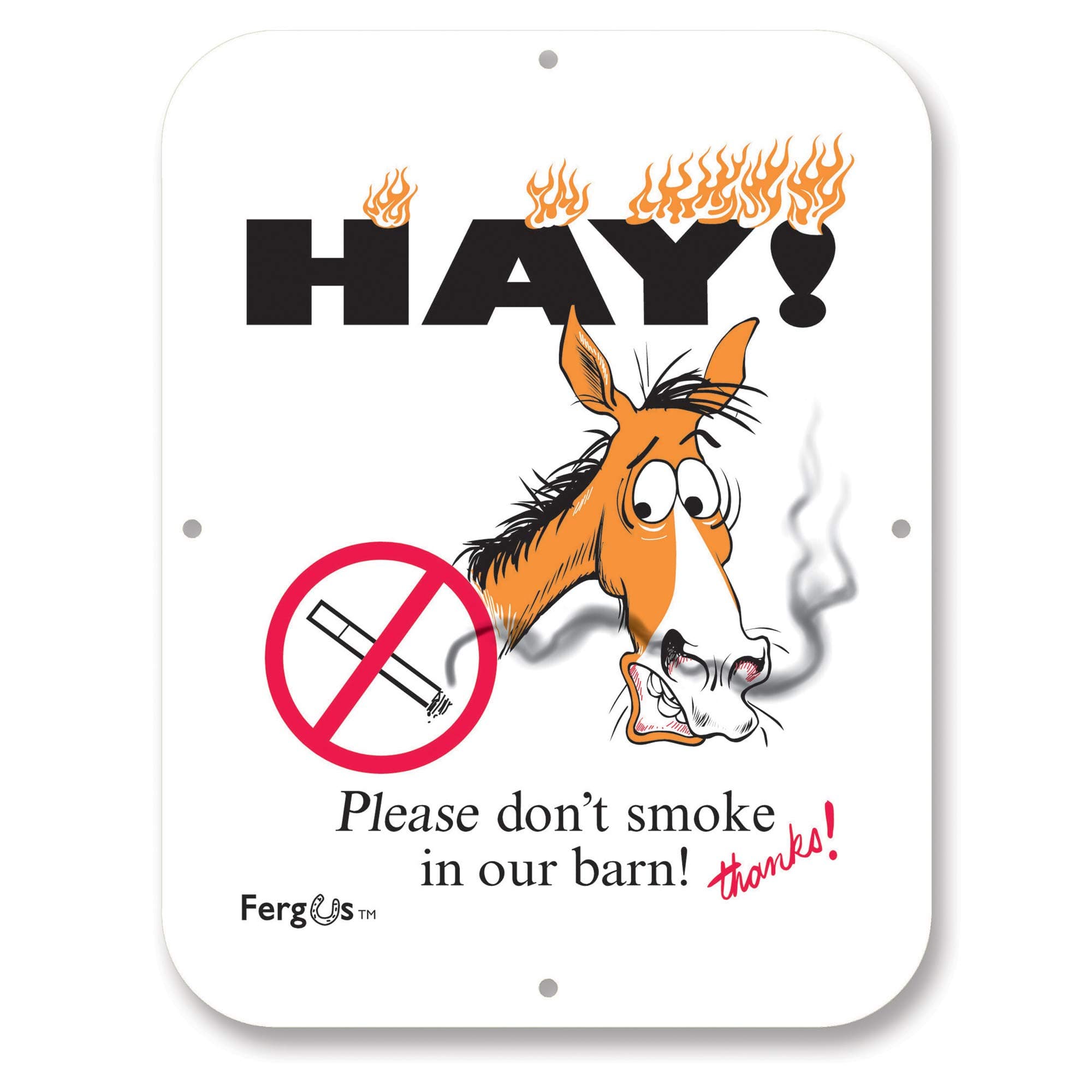 Fergus Stall/Barn Sign Dont Smoke