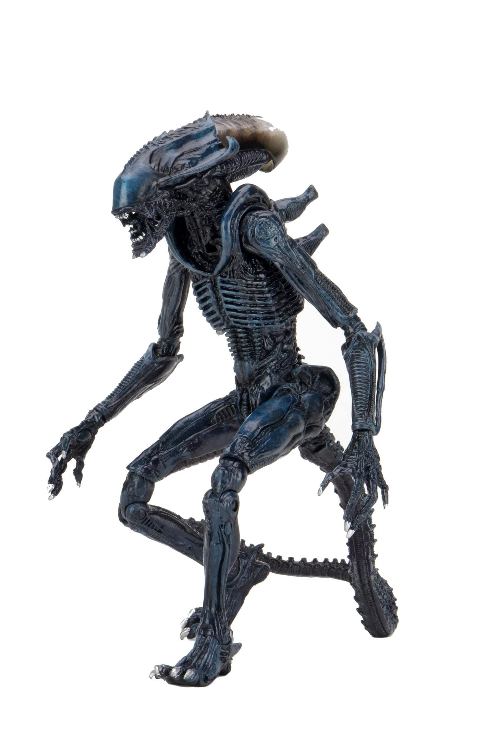 NECA - Alien Vs Predator - Arachnoid Alien /Toys