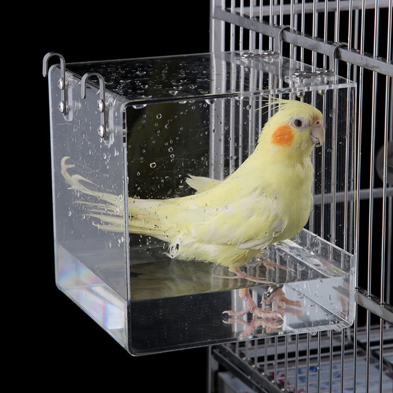 bird bath for cage S