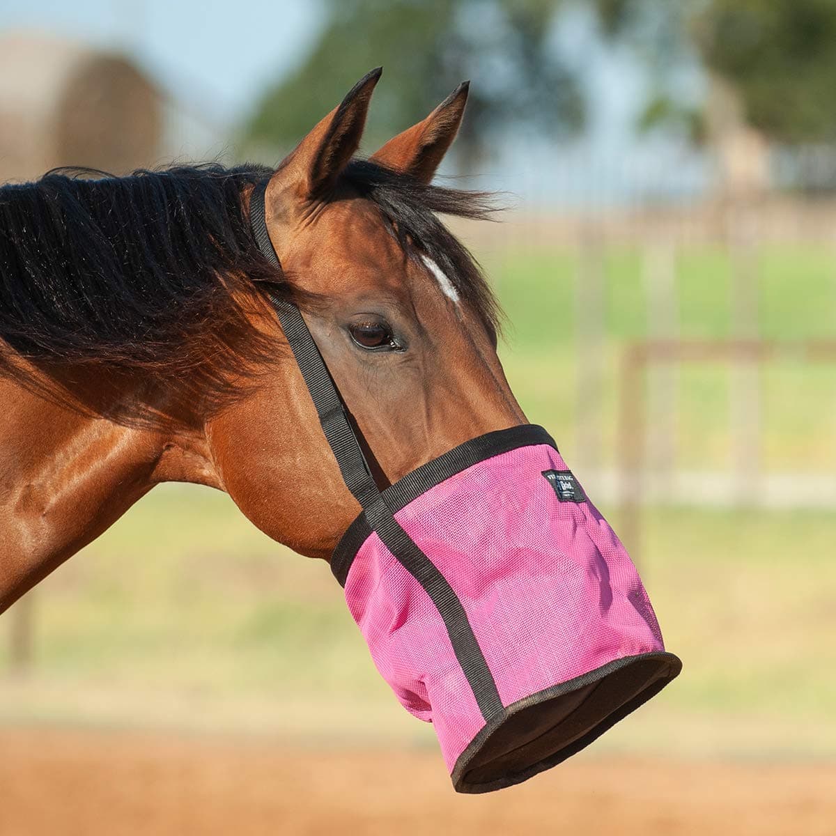 Cashel Feed Rite Bag Draft (Horse, Pink)
