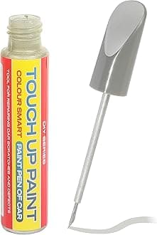 Car Paint Pen,Car Paint Repair,Car Accessories Car Repair Scratch Remover,Car Scratch Repair Pen,Car Touch Up Fill Paint Pen,Automotive Touch up Paint Pen for Car Scratch Repair Various (Silver)