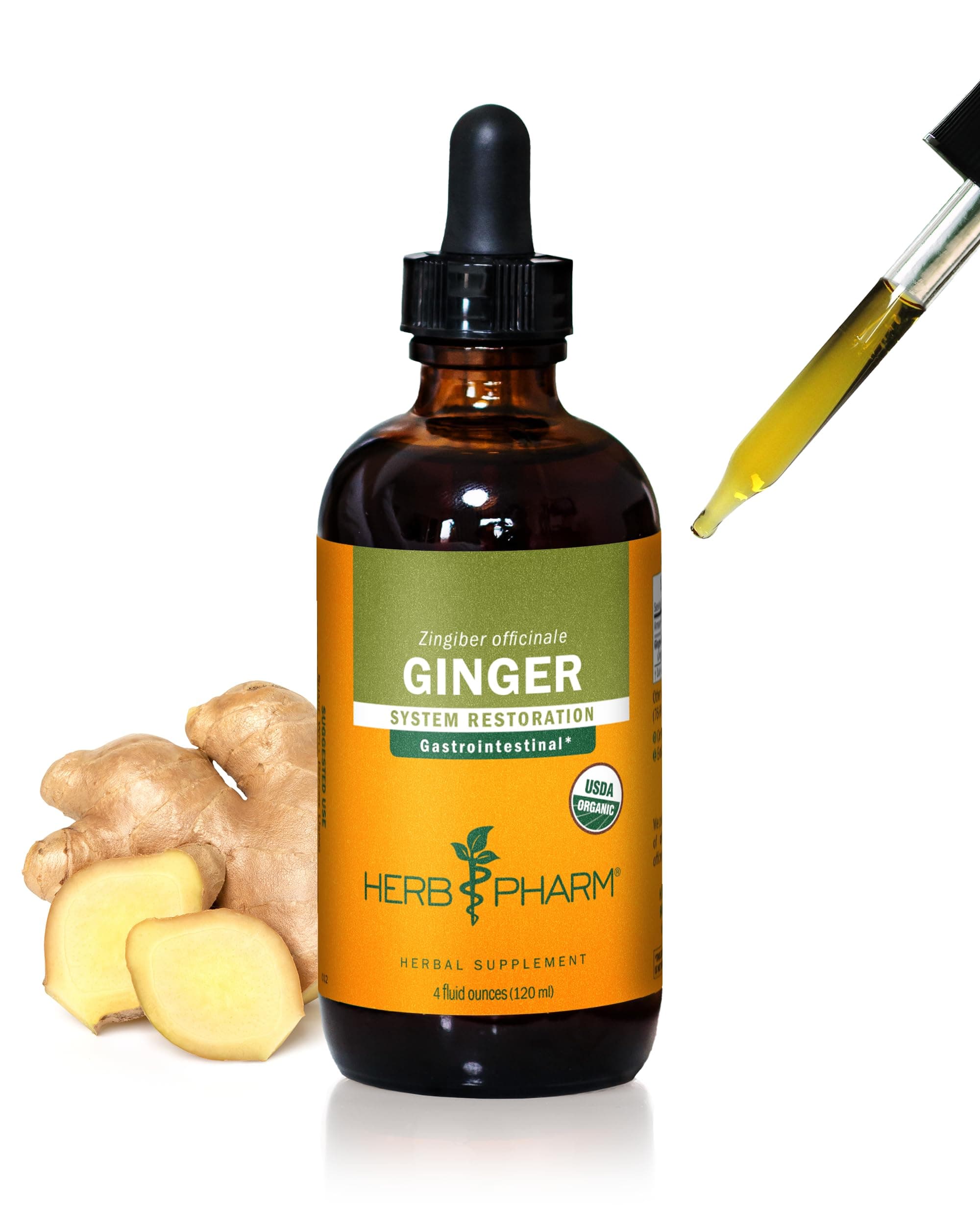 USDA Organic Ginger Root Extract*: Digestion & Circulatory Support | Ginger Tincture for Occasional Nausea | Non-Bitter Vegan Digestive Supplement | 4 Oz, Up to 3 Months Supply