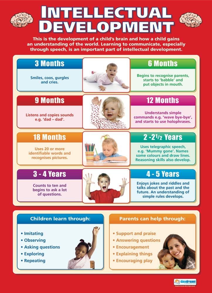 Intellectual Development Child Development Poster – Gloss Paper – 33” x 23.5” – Educational School and Classroom Posters