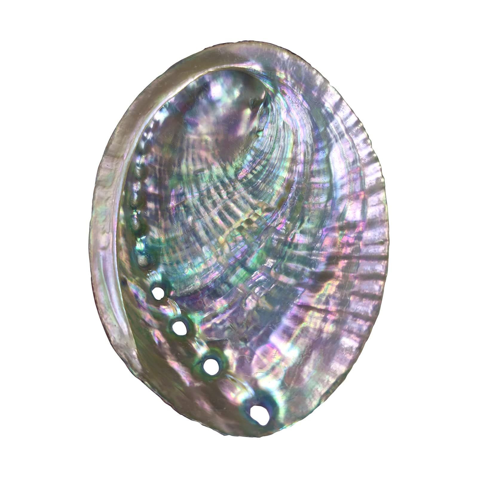 4-4.5 Inch Large Abalone Shell Bowl Natural Bulk Abalone Shell Smudge Bowl Incense Burner for Sage Burning
