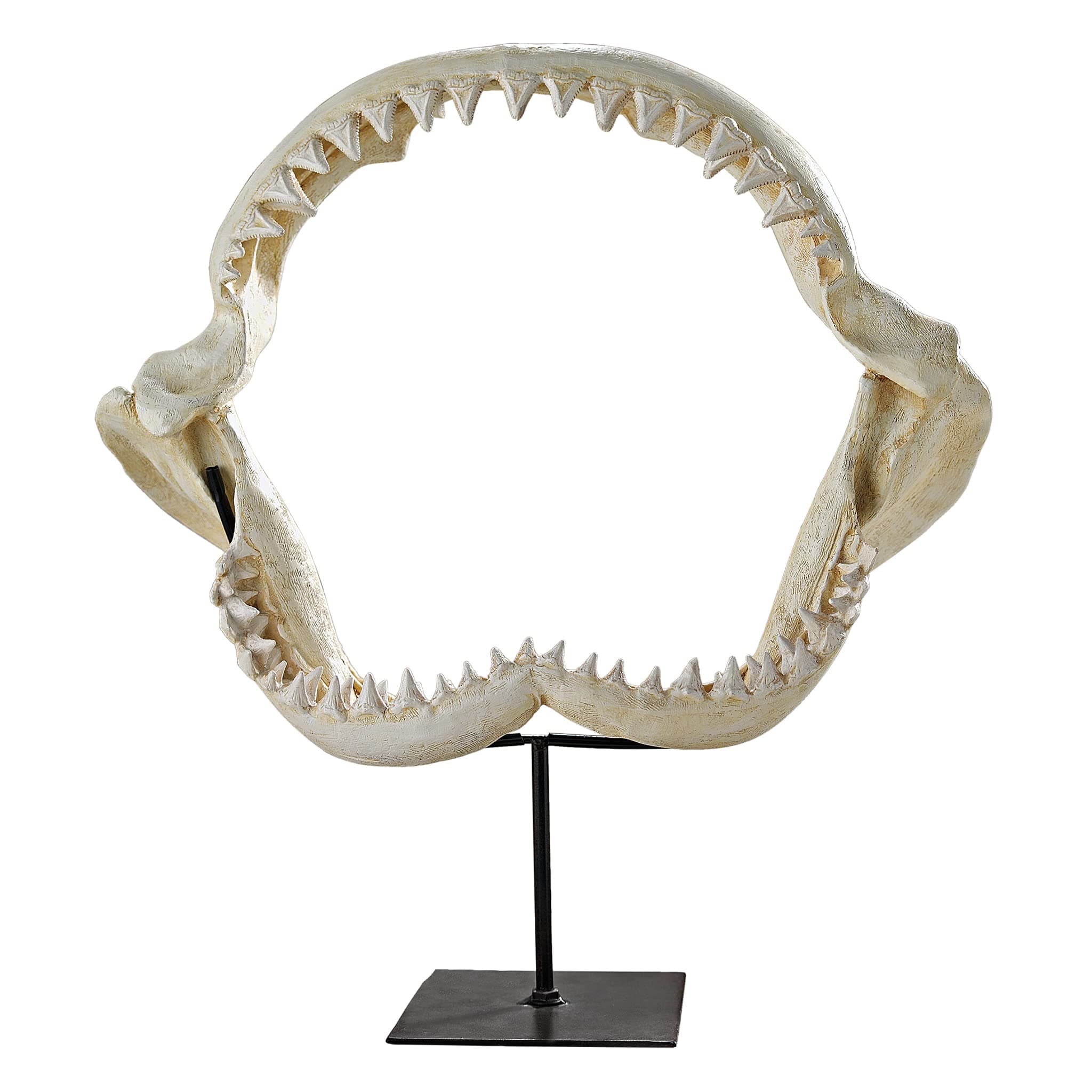 Shark's Jagged Jaws Statue, Ivory
