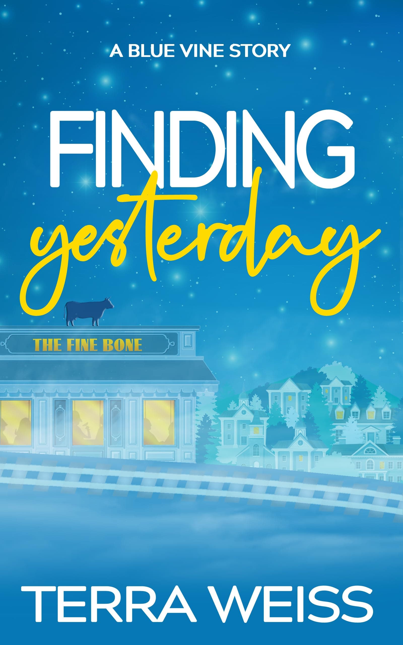 Finding Yesterday: A Rom Com Mystery (Blue Vine Book 1)