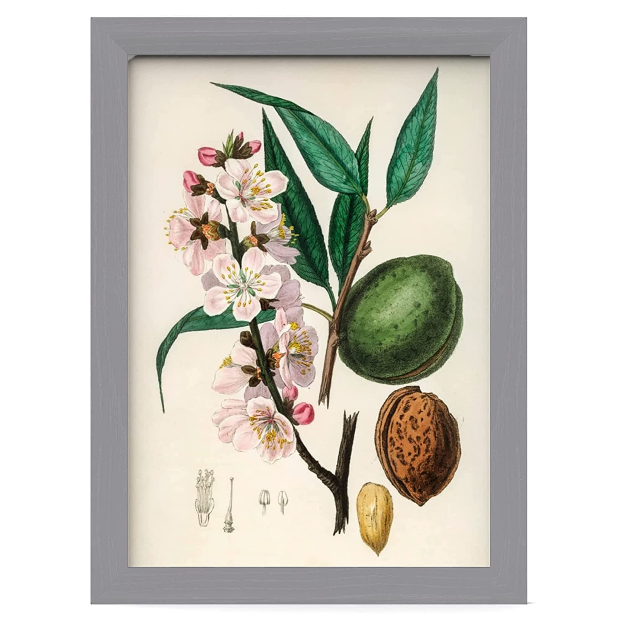 MH Traders Silver A4 Picture Frame - Freestanding and Wall Mounted Photo Frame for Pictures Posters & Certificates - 21 x 30 CM A4 Size Compact Picture Frames