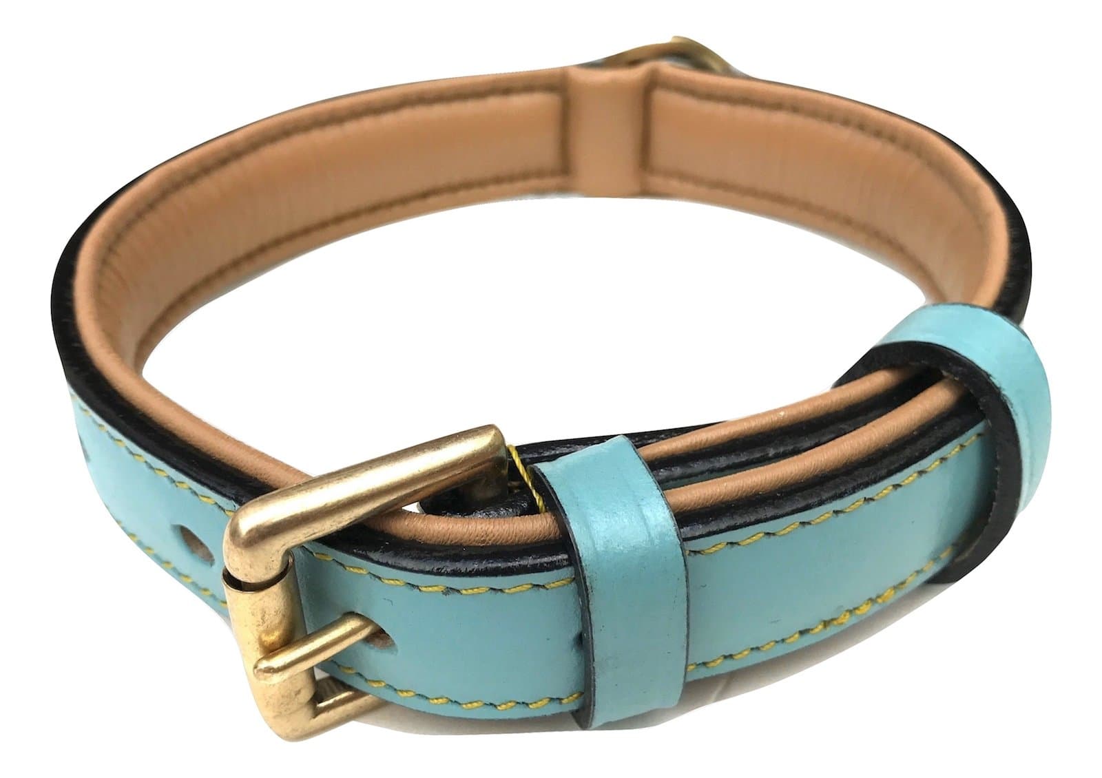Leather Dog Collar Padded, Turquoise with Beige Padding, Medium Size