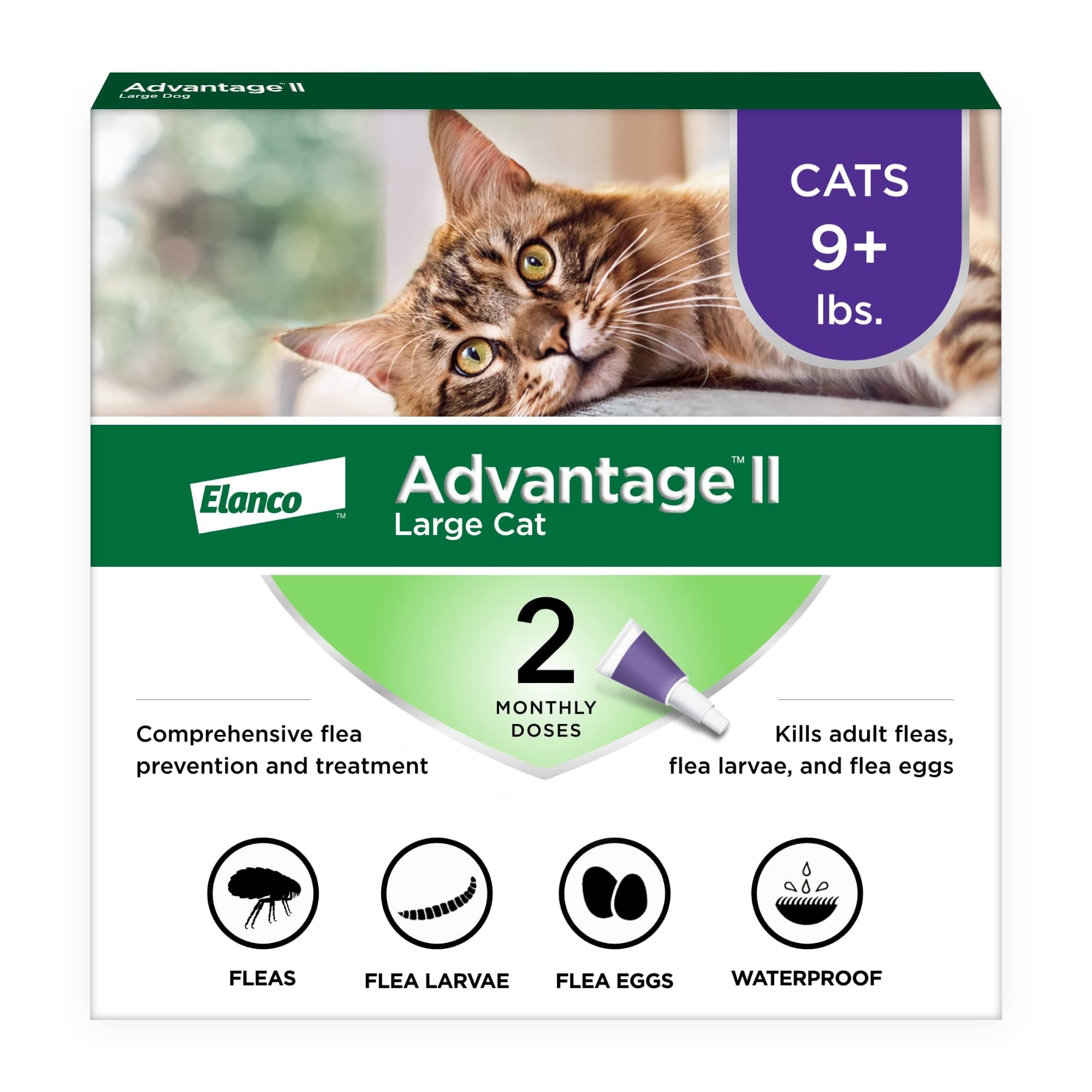 Bayer II Flea Prevention for Large Cats, Over 9 lbs