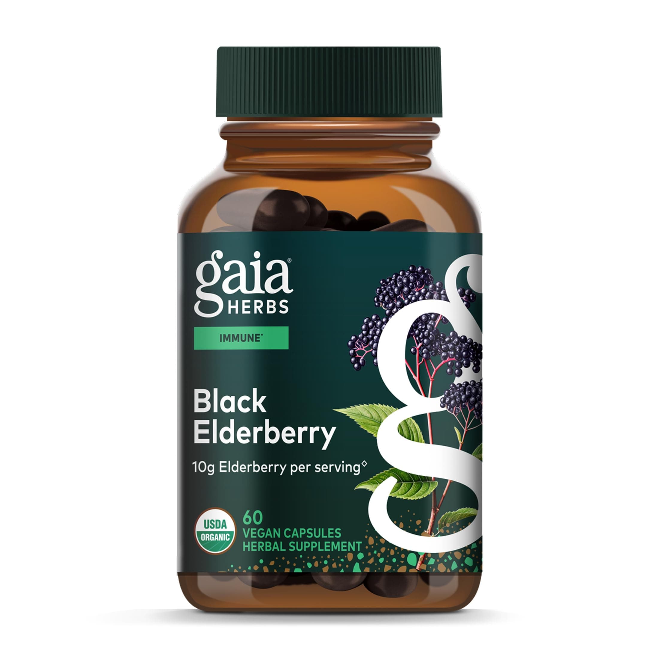 Black Elderberry - Daily Immune Support Supplement to Help Support Wellness - with Black Elderberries & Acerola Fruit for Antioxidant Support* - 60 Vegan Capsules (30 Servings)